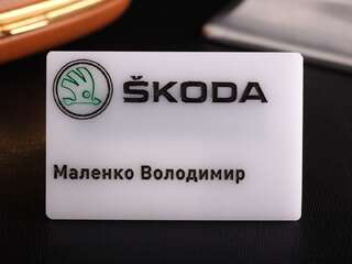 Бейджик "Skoda"