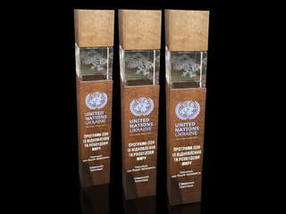 Награда "United Nations Ukraine"