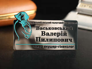 Именной бейджик "Пологовий Будинок"